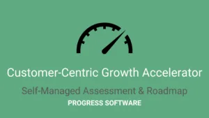 Customer-Centric Growth Accelerator