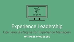 Experience Leadership