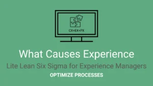 What Causes Experience