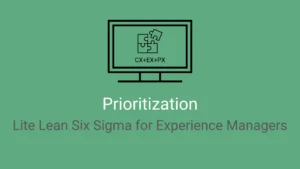 LSS for Prioritizing XM