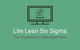 Lite Lean Six Sigma For XM