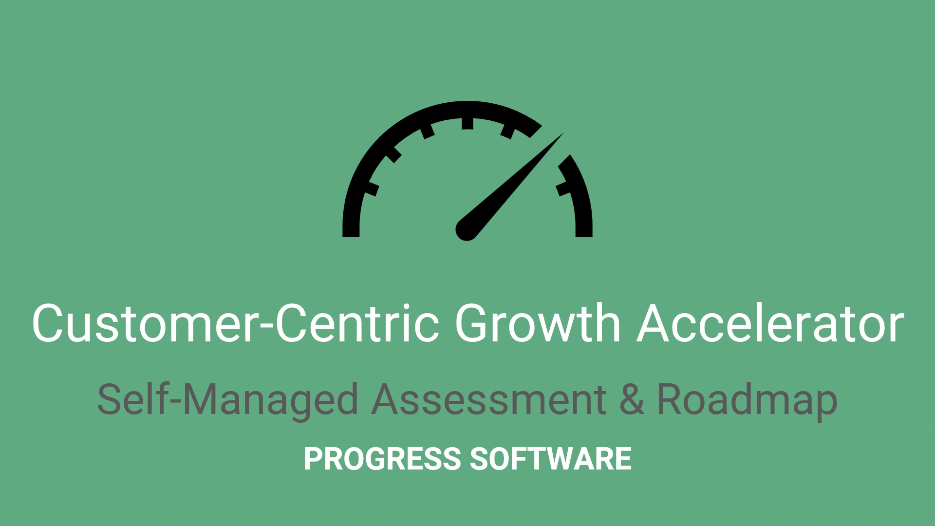 Customer-Centric Growth Accelerator