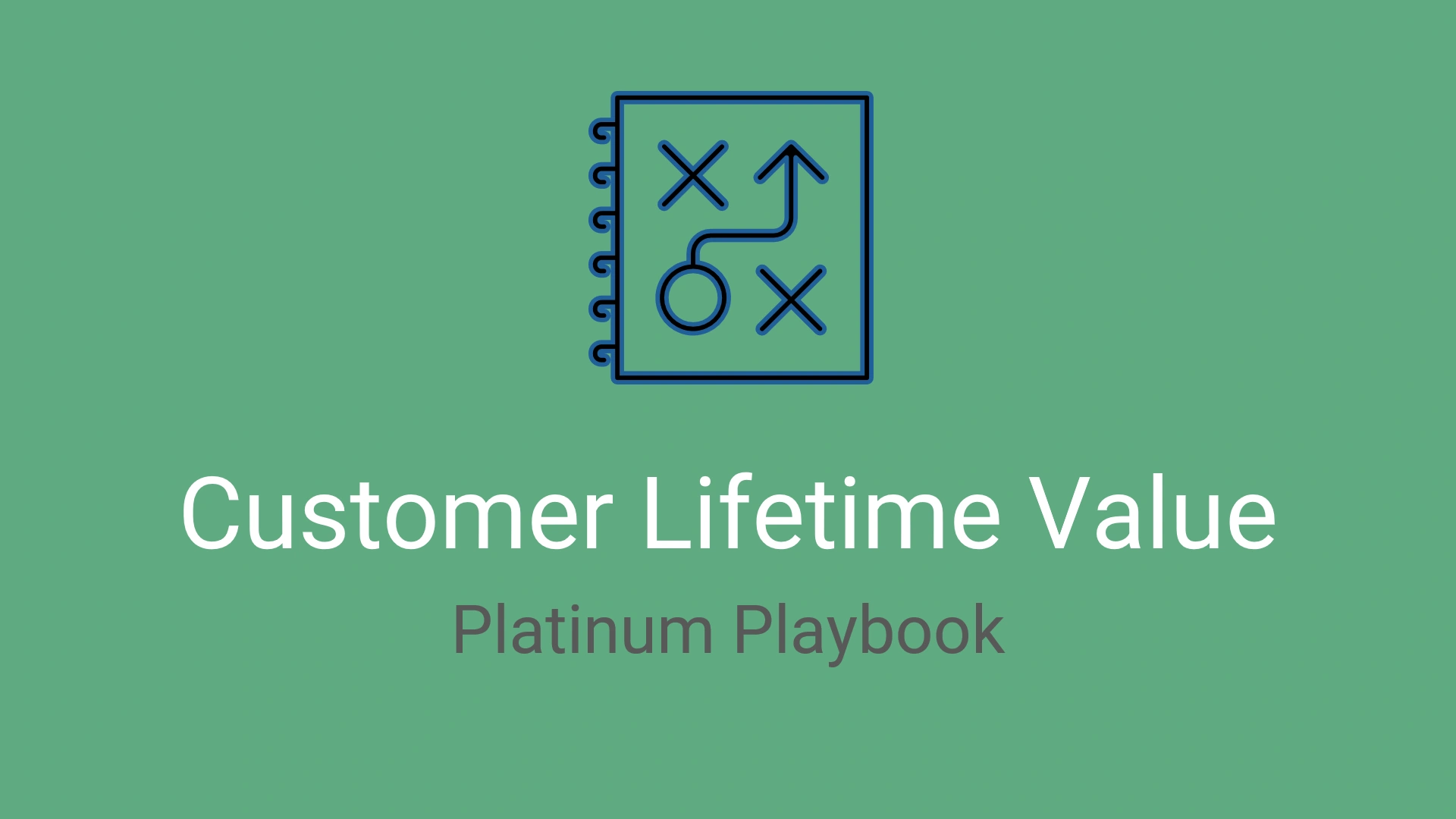 Customer Lifetime Value Playbook