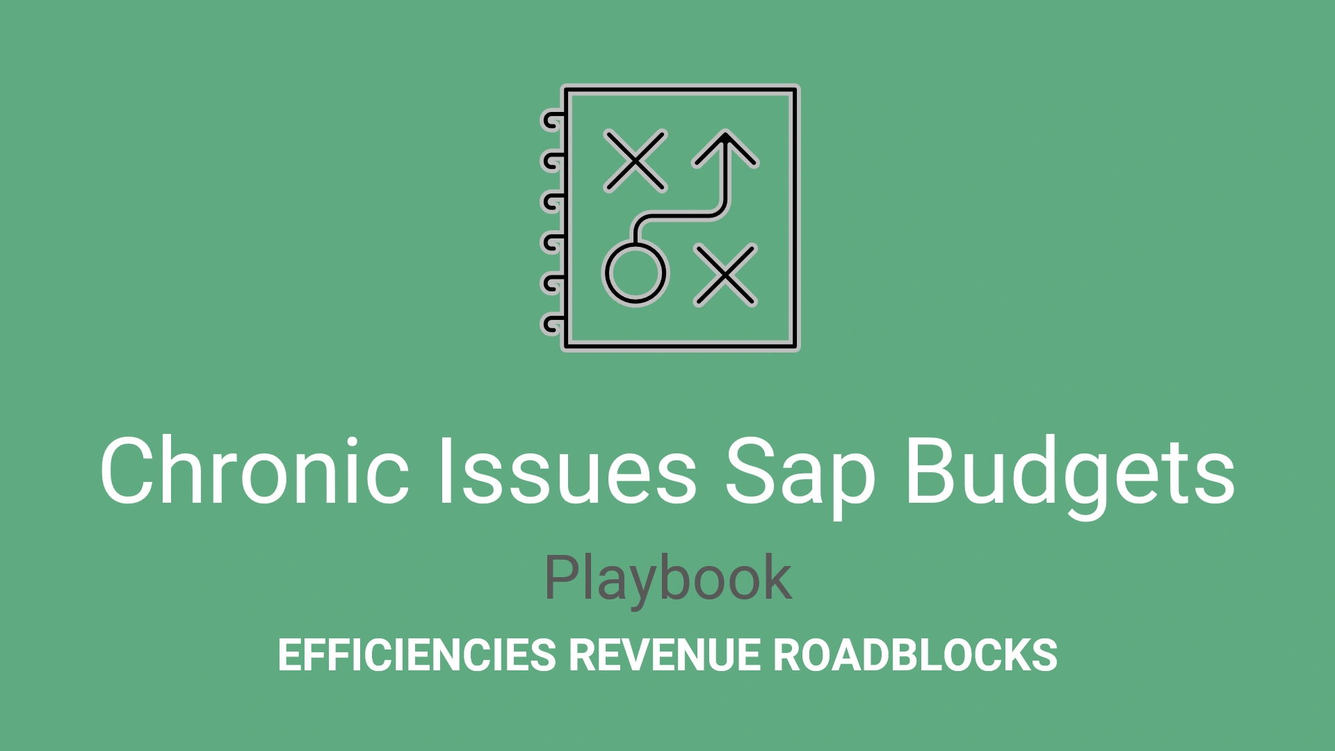 Chronic Issues Sap Budgets Playbook