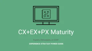 Experience Maturity
