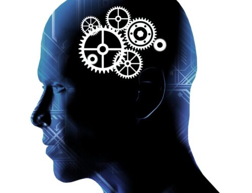 Customer Experience Metaphors Offer a Wealth of Insights